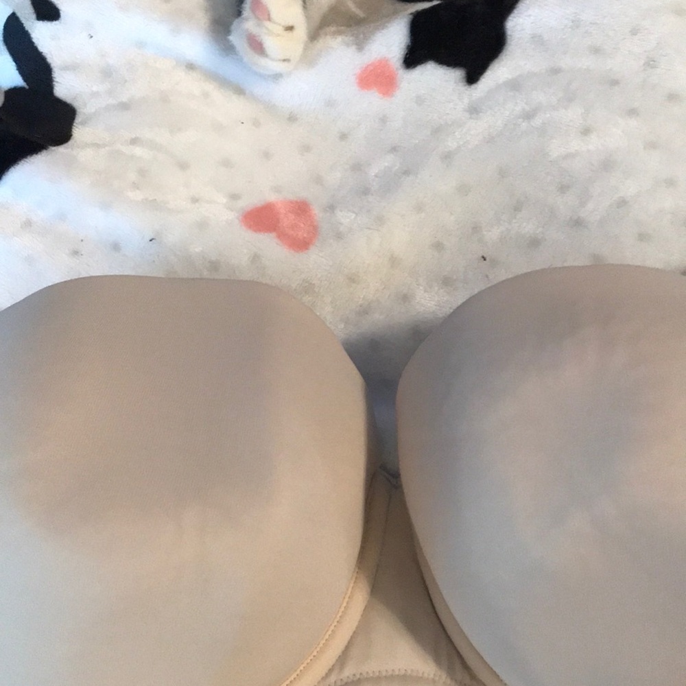 Cacique strapless bra